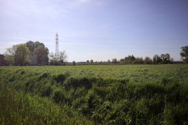 Ufukta ağaçlarla çevrili bir kır evi ve güneşli bir günde üzerinde elektrik hattı olan çim tarlası.