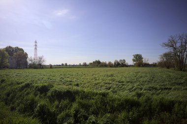Ufukta ağaçlarla çevrili bir kır evi ve güneşli bir günde üzerinde elektrik hattı olan çim tarlası.