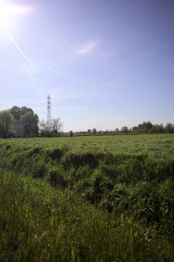 Ufukta ağaçlarla çevrili bir kır evi ve güneşli bir günde üzerinde elektrik hattı olan çim tarlası.