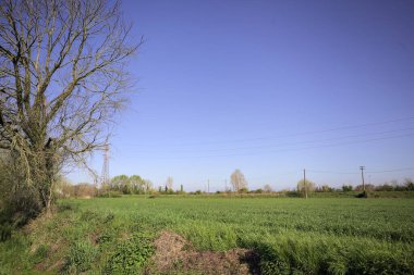 Ufukta ağaçlarla çevrili bir kır evi ve güneşli bir günde üzerinde elektrik hattı olan çim tarlası.