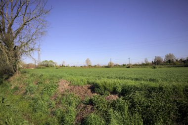 Ufukta ağaçlarla çevrili bir kır evi ve güneşli bir günde üzerinde elektrik hattı olan çim tarlası.
