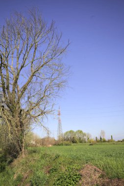 Ufukta ağaçlarla çevrili bir kır evi ve güneşli bir günde üzerinde elektrik hattı olan çim tarlası.