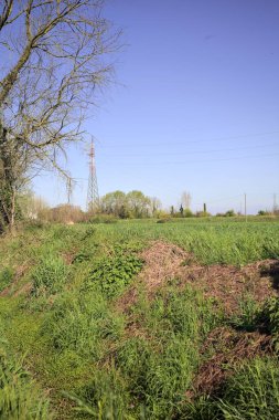 Ufukta ağaçlarla çevrili bir kır evi ve güneşli bir günde üzerinde elektrik hattı olan çim tarlası.