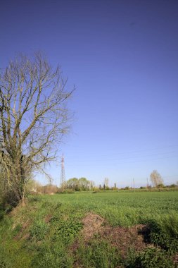 Ufukta ağaçlarla çevrili bir kır evi ve güneşli bir günde üzerinde elektrik hattı olan çim tarlası.