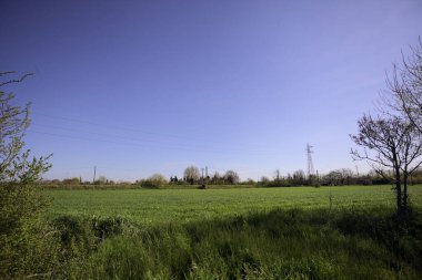 Ağaçlarla çevrili güneşli bir günde, üzerinde koruluğu olan bir toprak seti ile çevrili bir elektrik hattıyla ekilmiş alan.