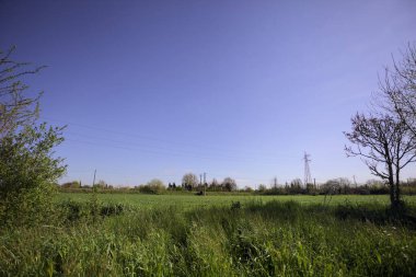 Ağaçlarla çevrili güneşli bir günde, üzerinde koruluğu olan bir toprak seti ile çevrili bir elektrik hattıyla ekilmiş alan.