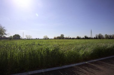 Ağaçlarla çevrili güneşli bir günde, üzerinde koruluğu olan bir toprak seti ile çevrili bir elektrik hattıyla ekilmiş alan.