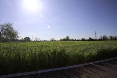Ağaçlarla çevrili güneşli bir günde, üzerinde koruluğu olan bir toprak seti ile çevrili bir elektrik hattıyla ekilmiş alan.