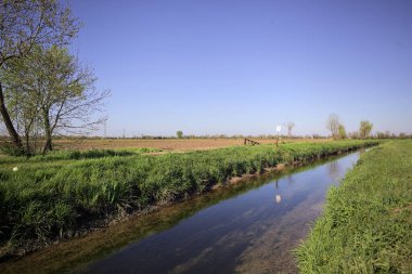 Tarlalar arasındaki su akıntısı kenarına kadar uzanan bir patika ve suya dökülen gökyüzü.