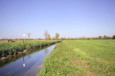 Tarlalar arasındaki su akıntısı kenarına kadar uzanan bir patika ve suya dökülen gökyüzü.