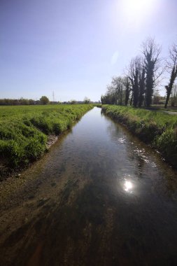 Bir tarla ile asfalt bir patika arasındaki su akıntısı İtalya 'nın kırsal kesimlerinde güneş tarafından aydınlatılan ağaçlarla doludur.