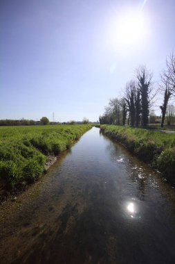 Bir tarla ile asfalt bir patika arasındaki su akıntısı İtalya 'nın kırsal kesimlerinde güneş tarafından aydınlatılan ağaçlarla doludur.