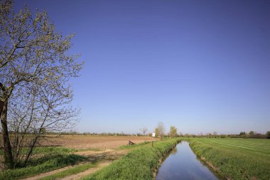 Tarlalar arasındaki su akıntısı kenarına kadar uzanan bir patika ve suya dökülen gökyüzü.