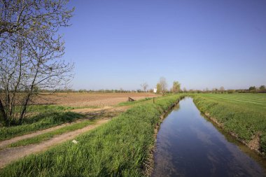 Tarlalar arasındaki su akıntısı kenarına kadar uzanan bir patika ve suya dökülen gökyüzü.