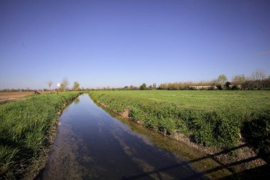 Tarlalar arasındaki su akıntısı kenarına kadar uzanan bir patika ve suya dökülen gökyüzü.