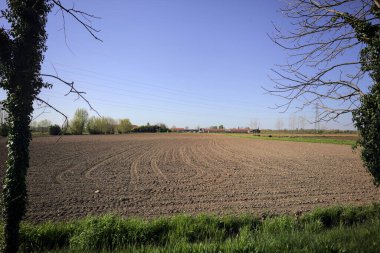 Kenarında ağaçlar olan pullu bir tarla ve uzakta bir çiftlik güneşli bir günde İtalyan kırsalında iki ağacın çerçevelediği.