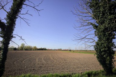 Kenarında ağaçlar olan pullu bir tarla ve uzakta bir çiftlik güneşli bir günde İtalyan kırsalında iki ağacın çerçevelediği.