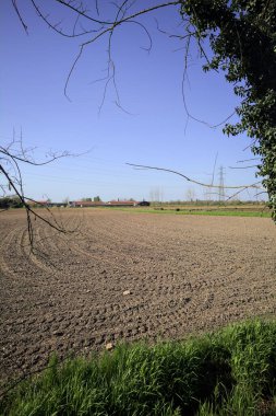 Kenarında ağaçlar olan pullu bir tarla ve uzakta bir çiftlik güneşli bir günde İtalyan kırsalında iki ağacın çerçevelediği.