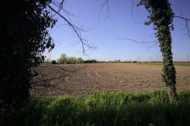 Kenarında ağaçlar olan pullu bir tarla ve uzakta bir çiftlik güneşli bir günde İtalyan kırsalında iki ağacın çerçevelediği.