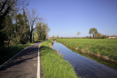 Arazi ile asfalt patika arasındaki su akıntısı İtalya kırsalında ağaçlarla doludur.