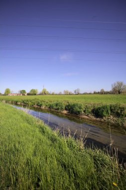 İtalya kırsalında güneşli bir günde ufukta ağaçlar olan bir çim tarlasının yanındaki su deresi.