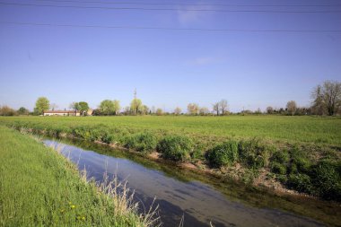 İtalya kırsalında güneşli bir günde ufukta ağaçlar olan bir çim tarlasının yanındaki su deresi.
