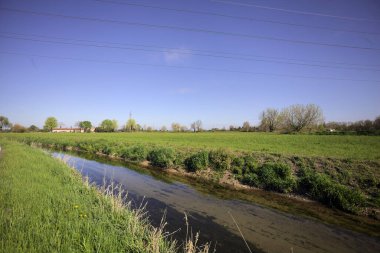 İtalya kırsalında güneşli bir günde ufukta ağaçlar olan bir çim tarlasının yanındaki su deresi.