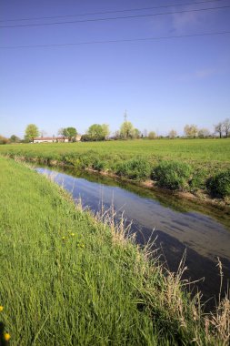 İtalya kırsalında güneşli bir günde ufukta ağaçlar olan bir çim tarlasının yanındaki su deresi.