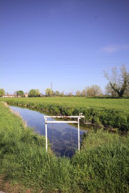 İtalya kırsalında güneşli bir günde ufukta ağaçlar olan bir çim tarlasının yanındaki su deresi.