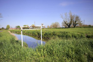 İtalya kırsalında güneşli bir günde ufukta ağaçlar olan bir çim tarlasının yanındaki su deresi.