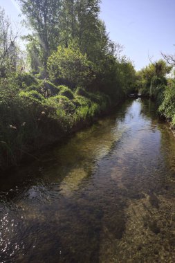 Güneşli bir günde, İtalya 'nın kırsal kesimlerinde güneşin aydınlattığı bir koruluktan geçen su akıntısı.