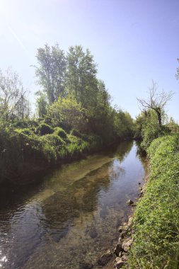 Güneşli bir günde, İtalya 'nın kırsal kesimlerinde güneşin aydınlattığı bir koruluktan geçen su akıntısı.