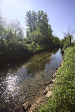 Güneşli bir günde, İtalya 'nın kırsal kesimlerinde güneşin aydınlattığı bir koruluktan geçen su akıntısı.