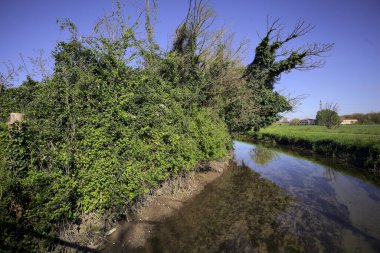 İtalya kırsalında güneşli bir günde, üzerinde bir ağaç olan bir koruluğun yanından geçen nehir.