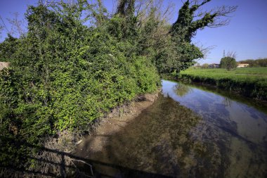 İtalya kırsalında güneşli bir günde, üzerinde bir ağaç olan bir koruluğun yanından geçen nehir.