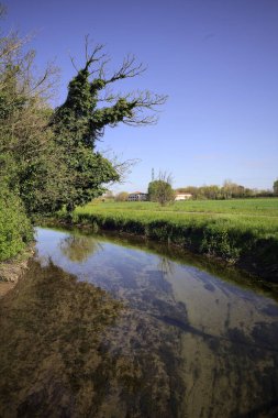 İtalya kırsalında güneşli bir günde, üzerinde bir ağaç olan bir koruluğun yanından geçen nehir.