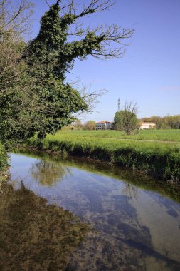 İtalya kırsalında güneşli bir günde, üzerinde bir ağaç olan bir koruluğun yanından geçen nehir.