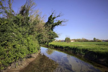 İtalya kırsalında güneşli bir günde, üzerinde bir ağaç olan bir koruluğun yanından geçen nehir.