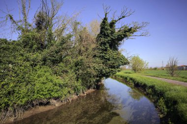 İtalya kırsalında güneşli bir günde, üzerinde bir ağaç olan bir koruluğun yanından geçen nehir.