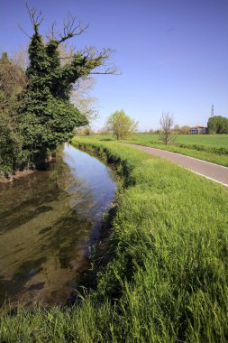 İtalya kırsalında güneşli bir günde, üzerinde bir ağaç olan bir koruluğun yanından geçen nehir.