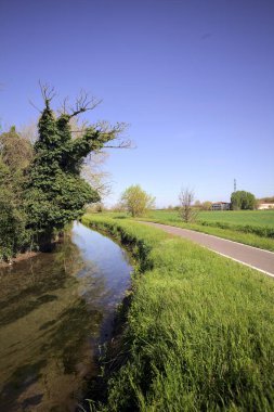 İtalya kırsalında güneşli bir günde, üzerinde bir ağaç olan bir koruluğun yanından geçen nehir.