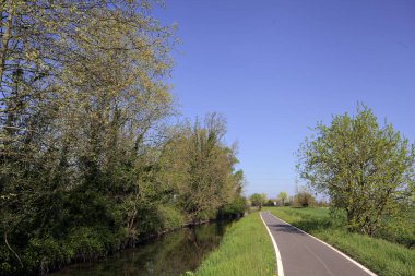 İtalya kırsalında güneşli bir günde ufukta ağaçlar olan bir çim tarlasının yanındaki su deresi.