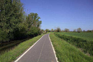 İtalya kırsalında güneşli bir günde ufukta ağaçlar olan bir çim tarlasının yanındaki su deresi.