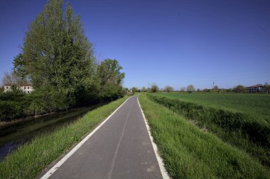 İtalya kırsalında güneşli bir günde ufukta ağaçlar olan bir çim tarlasının yanındaki su deresi.