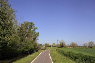 İtalya kırsalında güneşli bir günde ufukta ağaçlar olan bir çim tarlasının yanındaki su deresi.
