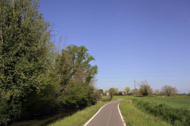 İtalya kırsalında güneşli bir günde ufukta ağaçlar olan bir çim tarlasının yanındaki su deresi.