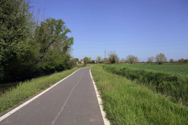 İtalya kırsalında güneşli bir günde ufukta ağaçlar olan bir çim tarlasının yanındaki su deresi.