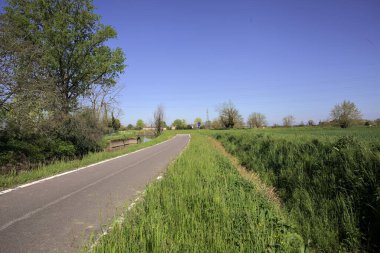 İtalya kırsalında güneşli bir günde üzerinden küçük beton bir köprü geçen bir su deresinin yanındaki patikada.