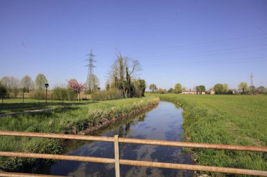 Arazi ile asfalt patika arasındaki su akıntısı İtalya kırsalında ağaçlarla doludur.