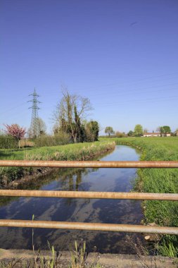 Arazi ile asfalt patika arasındaki su akıntısı İtalya kırsalında ağaçlarla doludur.